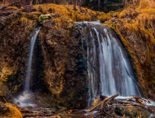 Waterfall Alberta Canada