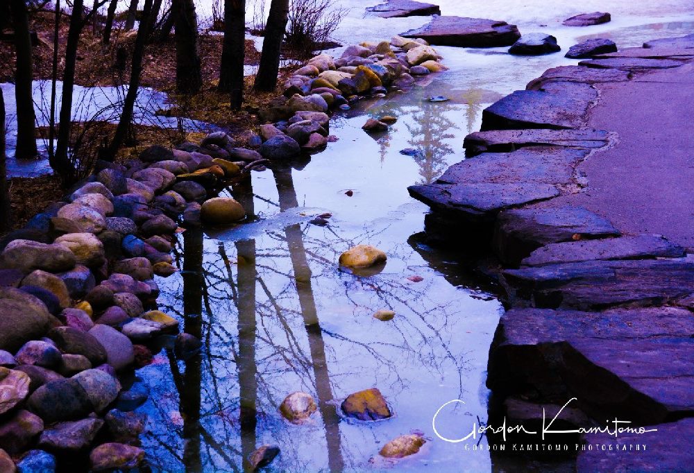 Creek and Rocks Landscapes