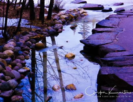 Creek and Rocks Landscapes