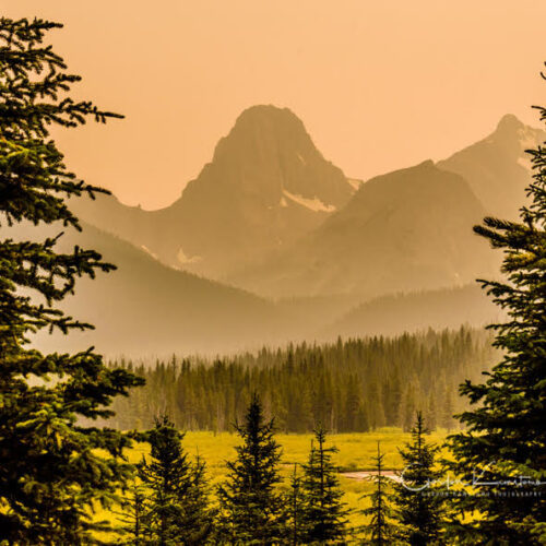 Spray Valley Provincial Park Alberta