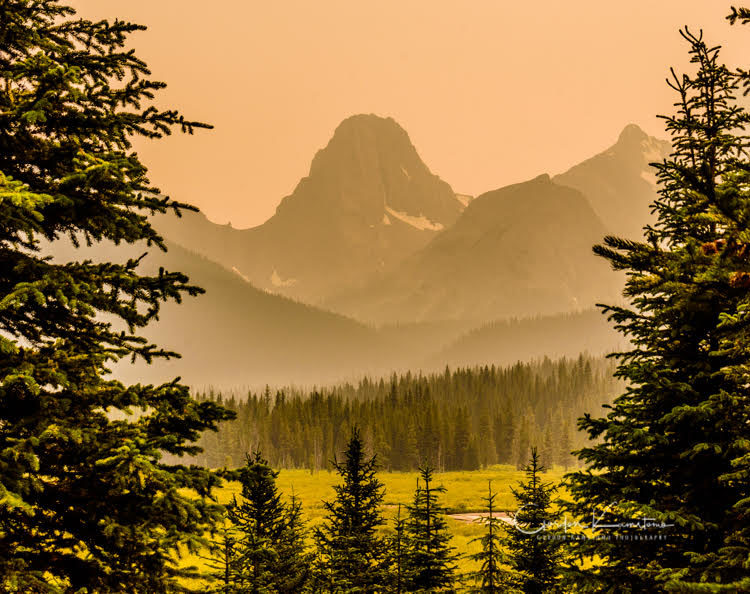 Spray Valley Provincial Park Alberta