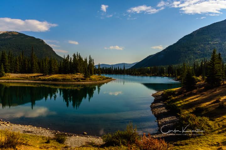 Forget Me Not Pond Alberta