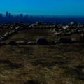 LinkedIn Banner Skyline
