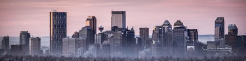 LinkedIn Banner Calgary Skyline Pink Hue