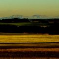 LinkedIn Banner Cremona