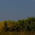LinkedIn Banner Didsbury