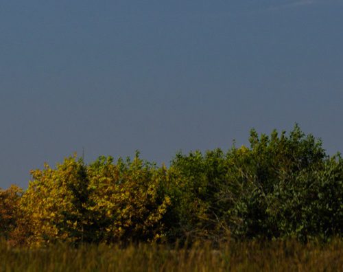 LinkedIn Banner Didsbury