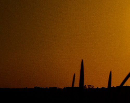 LinkedIn Banner High River