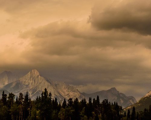 LinkedIn Banner Spray Valley Provincial Park Alberta