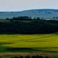 LinkedIn Banner Saskatoon Field