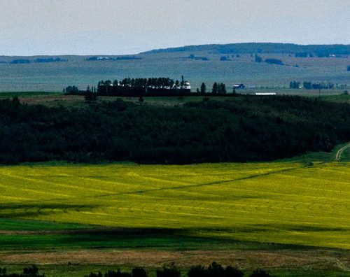 LinkedIn Banner Saskatoon Field
