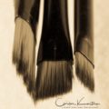 3 paint brushes sepia