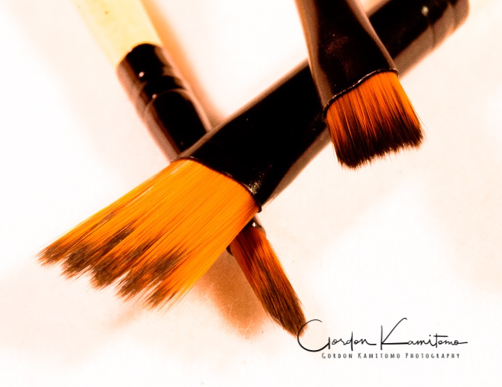 Disposable Paint Brushes - Shop Paint Brush Packages from Gordon Brush