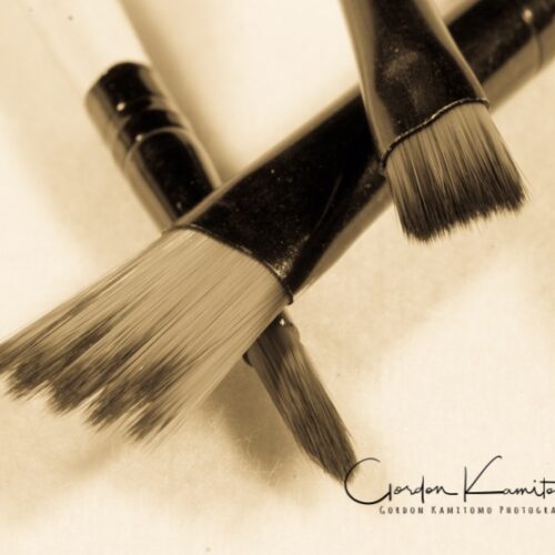 3 paint brushes sepia tone