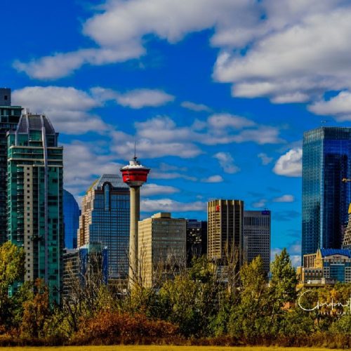 Calgary Skyline Calgary Tower Alberta